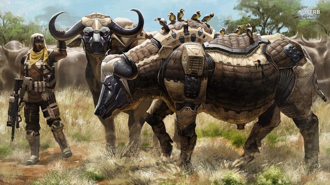 Web 前端怎样入门？